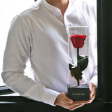 WISMA138 - Website Resmi Game Online Dengan Beragam Pomosi 2026