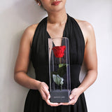 WISMA138 - Website Resmi Game Online Dengan Beragam Pomosi 2026