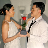 WISMA138 - Website Resmi Game Online Dengan Beragam Pomosi 2026